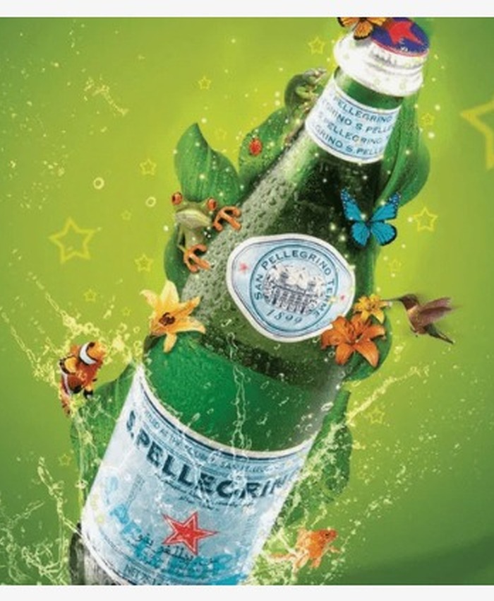Água San Pellegrino 505ml Com Gás 1 Unidade