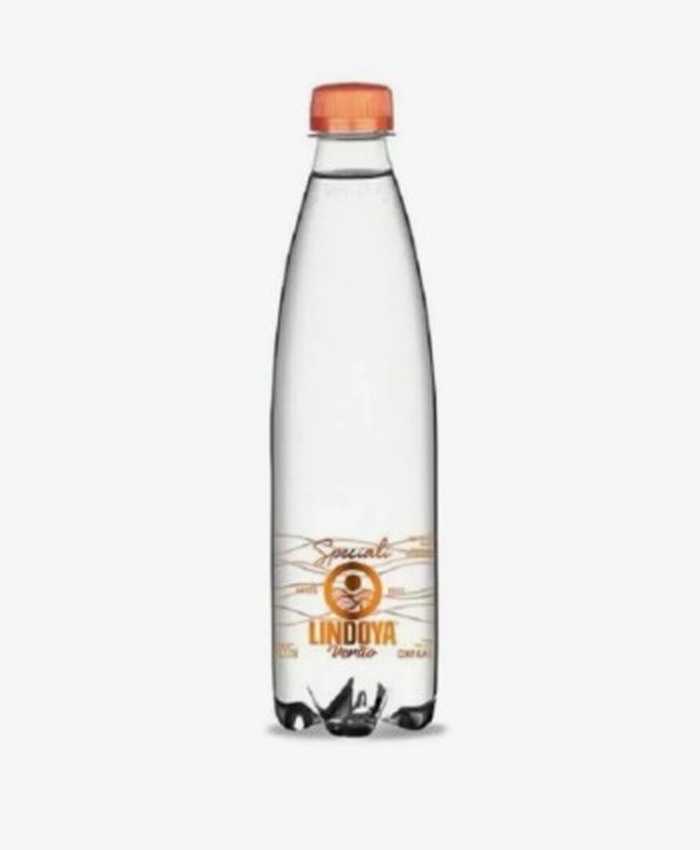 Água Lindoya Verão Speciali 500ml Com Gás C/12